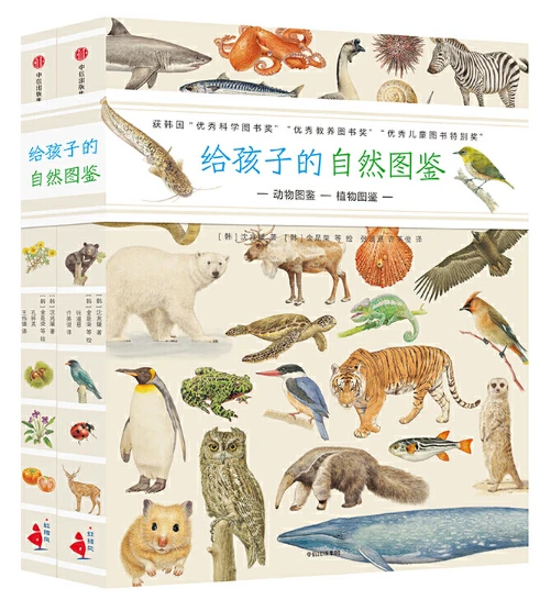 篮球训练后的总结与反思作文_1