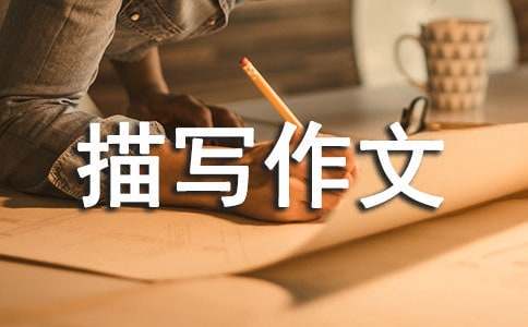 篮球训练海报图片_2